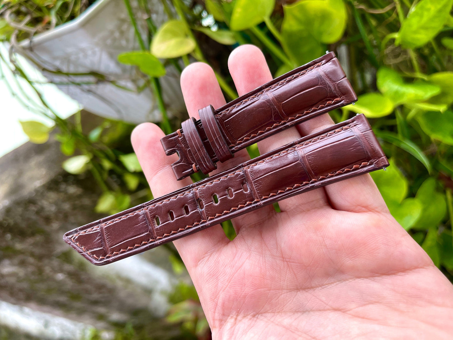 Brown Alligator Leather Watch Strap With Quick Release Spring Bars