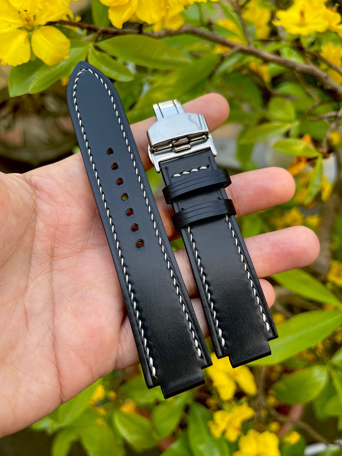 Shell Cordovan Corner Notched, Centre Notched Watch Strap