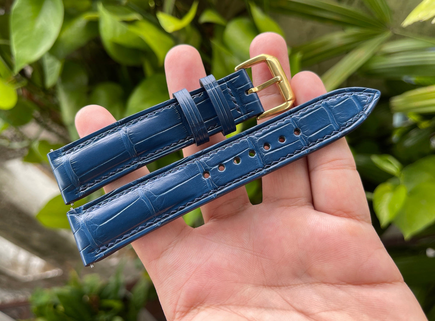 Blue Alligator Leather Watch Strap with Quick Release Spring Bars