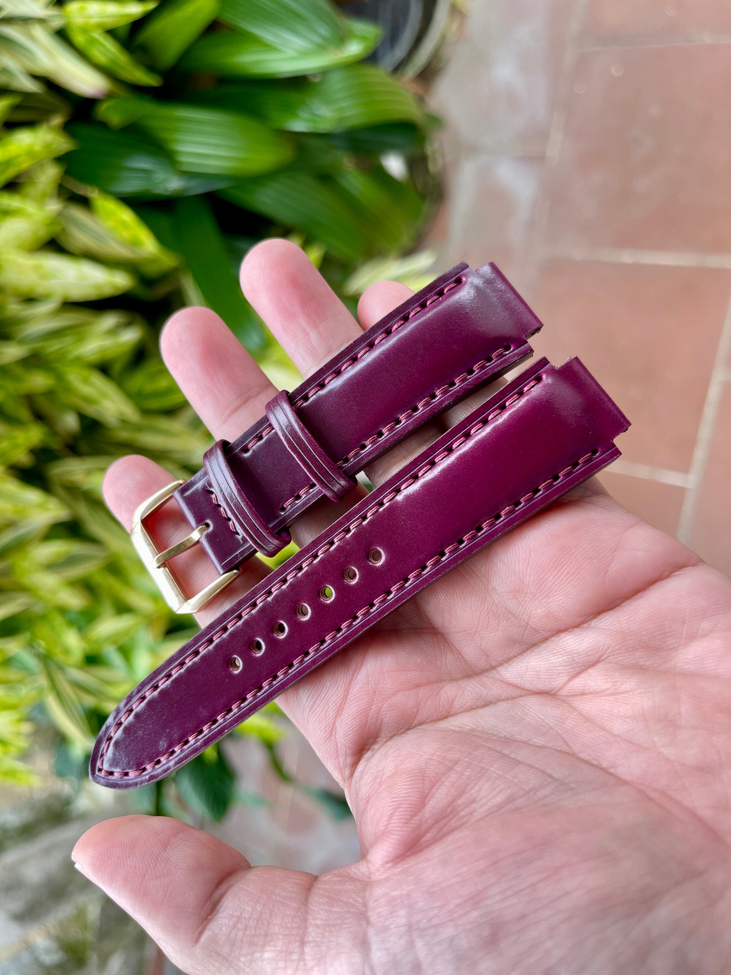 Shell Cordovan Corner Notched, Centre Notched Watch Strap