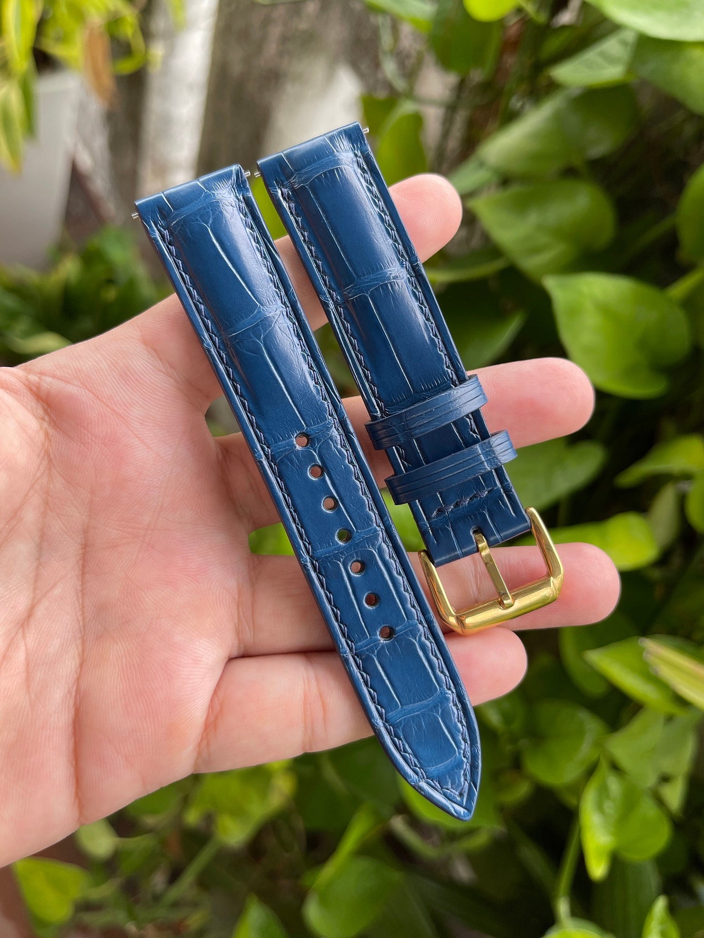 Blue Alligator Leather Watch Strap with Quick Release Spring Bars