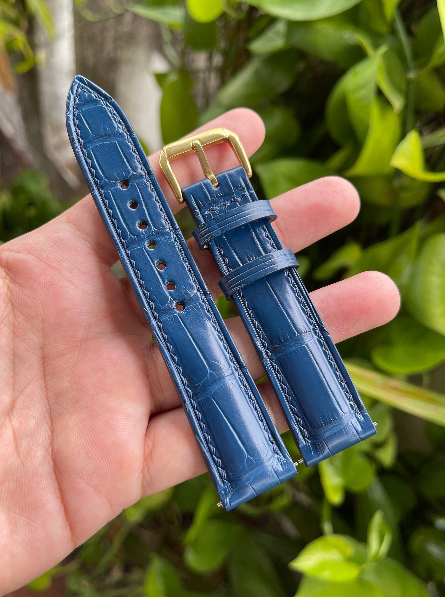 Blue Alligator Leather Watch Strap with Quick Release Spring Bars