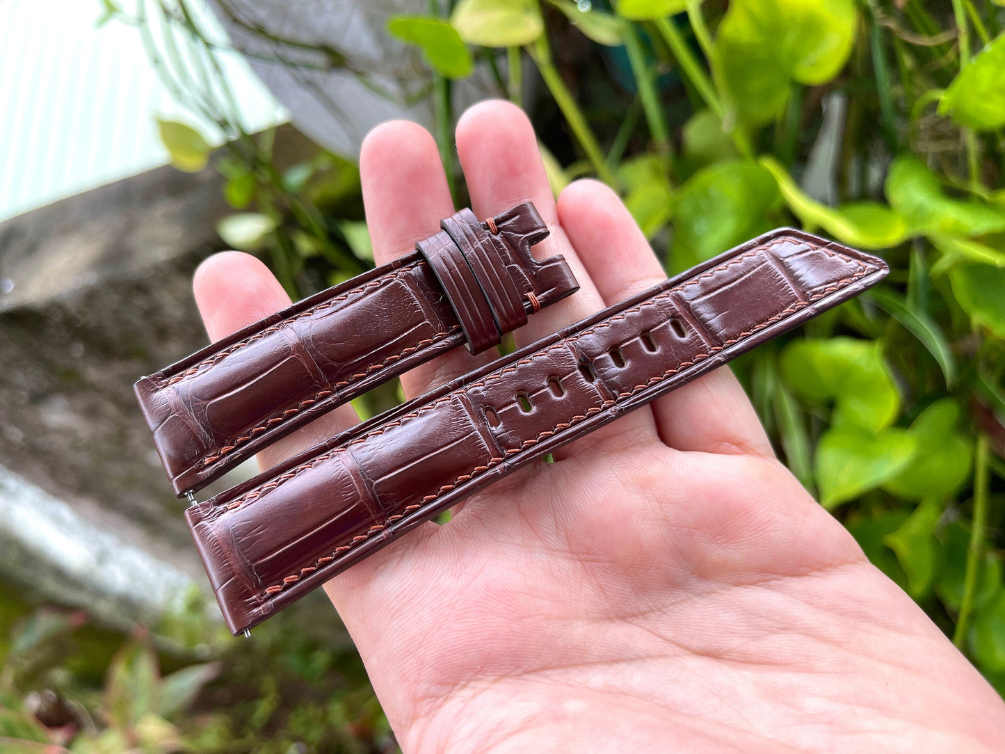 Brown Alligator Leather Watch Strap With Quick Release Spring Bars