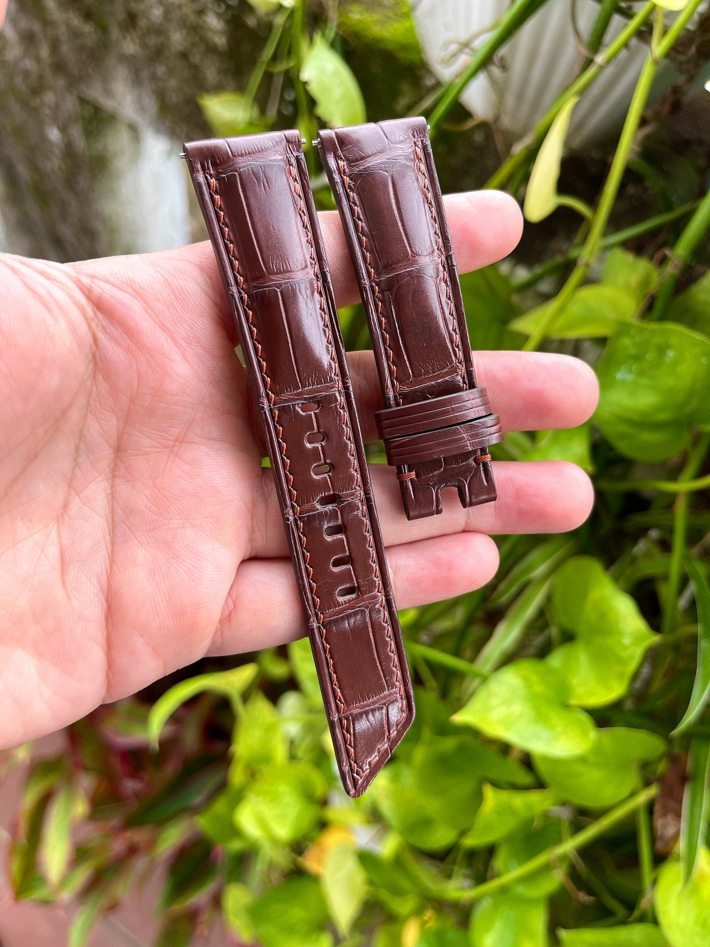 Brown Alligator Leather Watch Strap With Quick Release Spring Bars